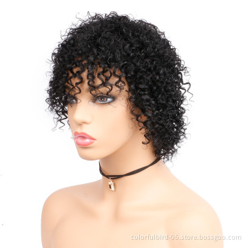 100% Brazilian Human Virgin Hair Wig Black Short Deep Curly Human Hair Wig for Black Women Short Kinky Curly Wig with Bangs